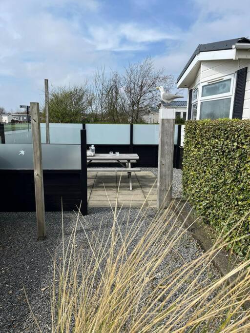 Chalet + Tiny House Nabij Strand Petten Esterno foto