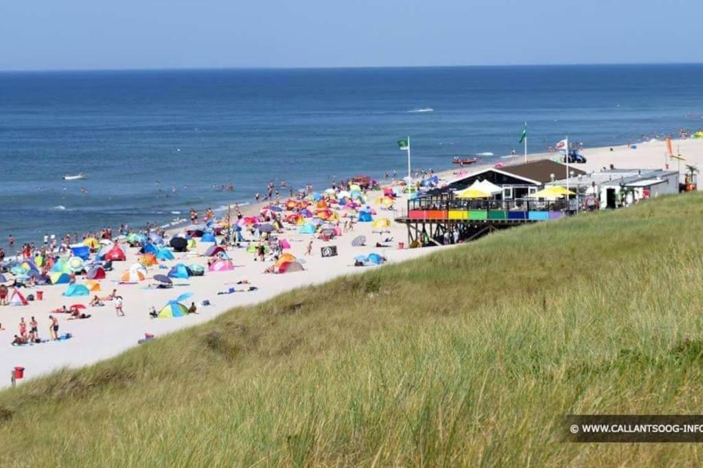 Chalet + Tiny House Nabij Strand Petten Esterno foto